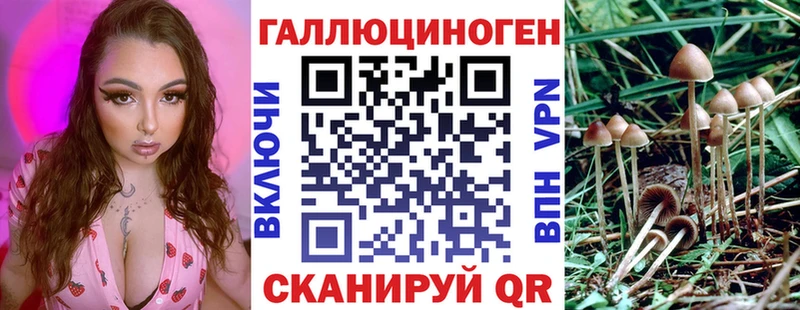 Псилоцибиновые грибы Psilocybe  Бакал 